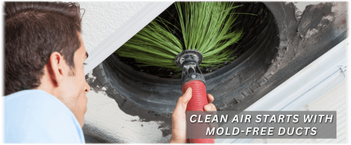 Air Duct Mold Removal in Villa Park IL